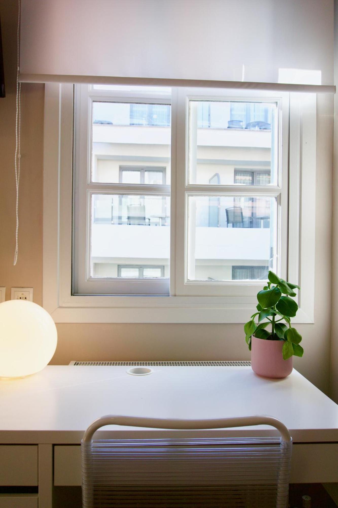 Syntagma Square: Amazing Cozy Studio - Whale 雅典 外观 照片